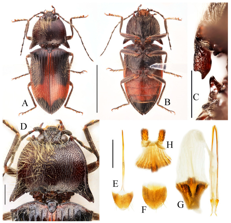 Figure 20