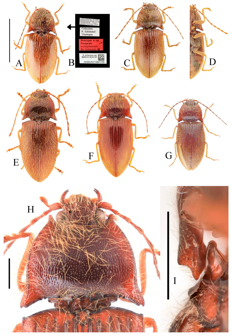 Figure 21