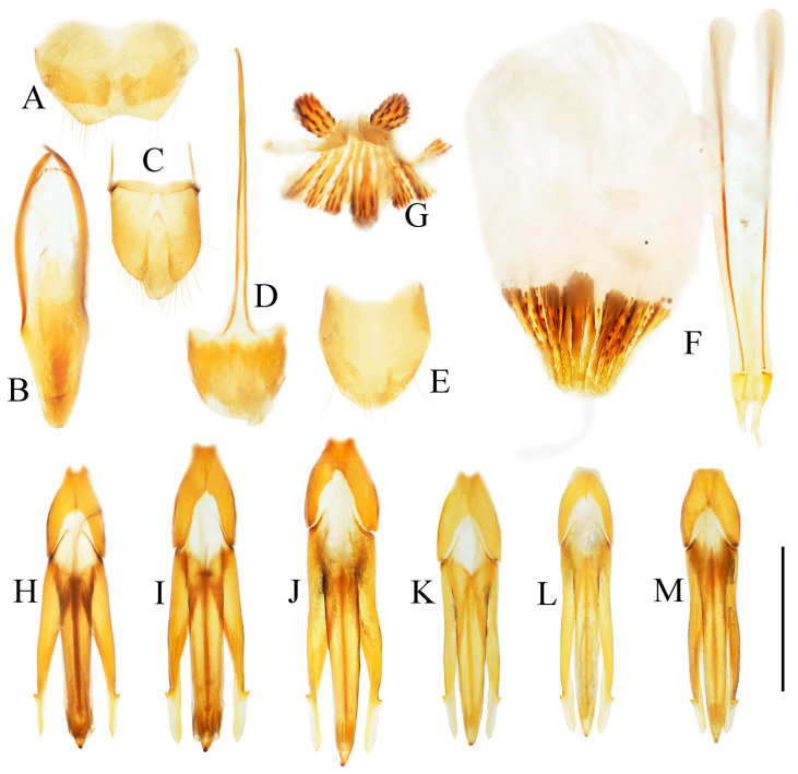 Figure 22