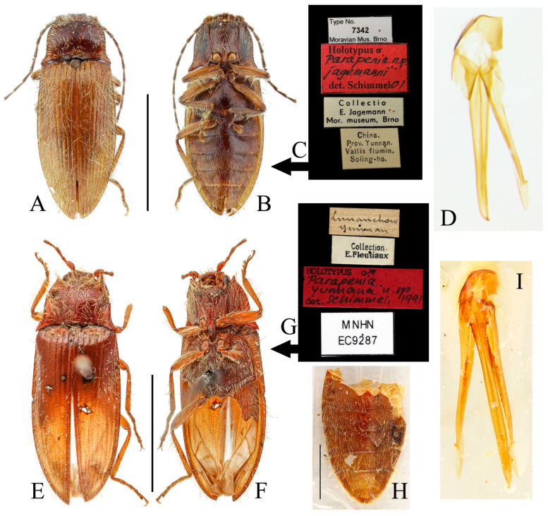 Figure 23