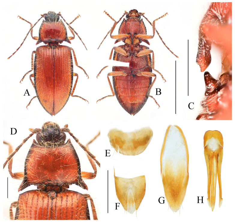 Figure 24