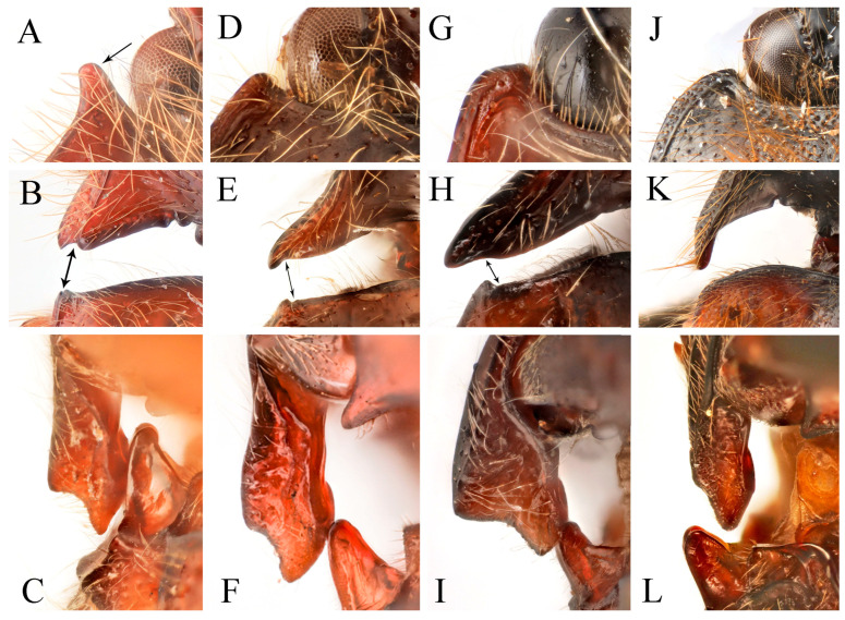 Figure 25