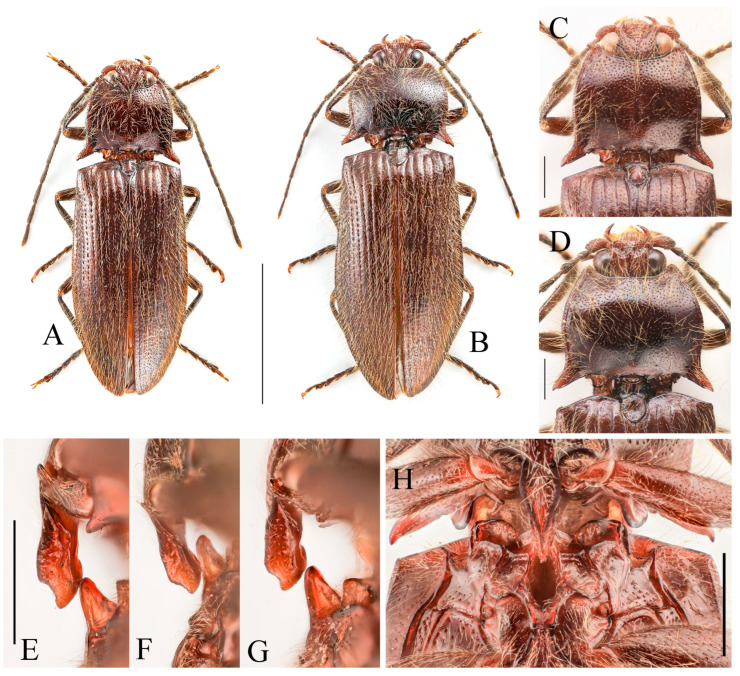 Figure 26