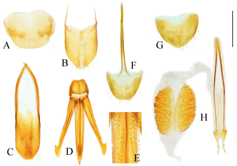 Figure 27