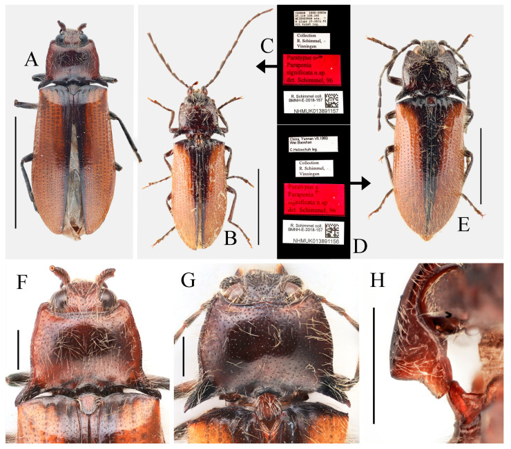 Figure 28
