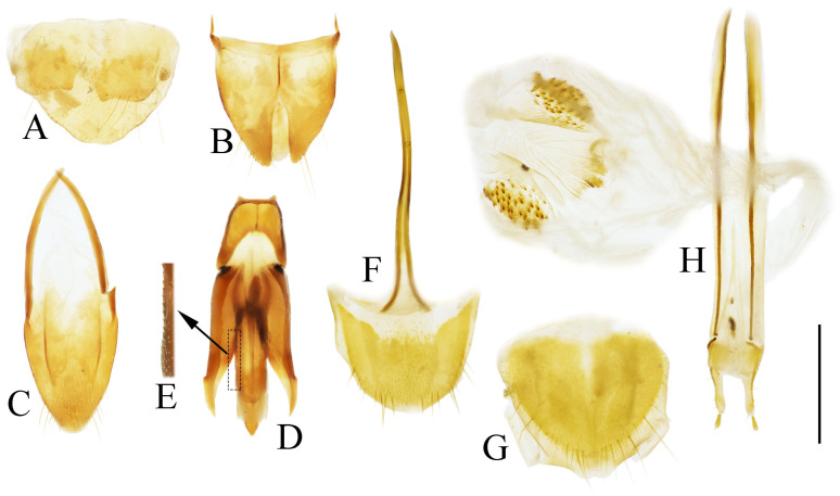 Figure 29