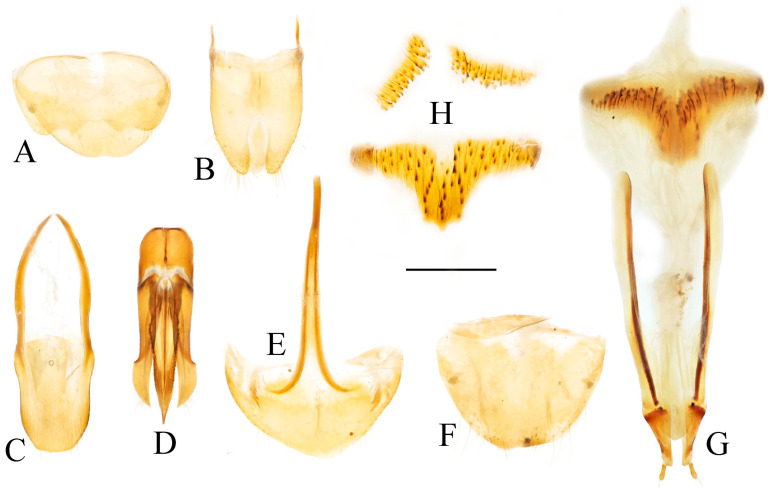 Figure 34
