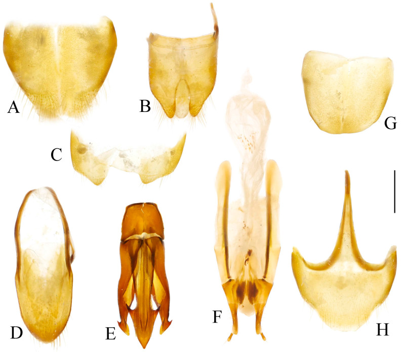 Figure 37