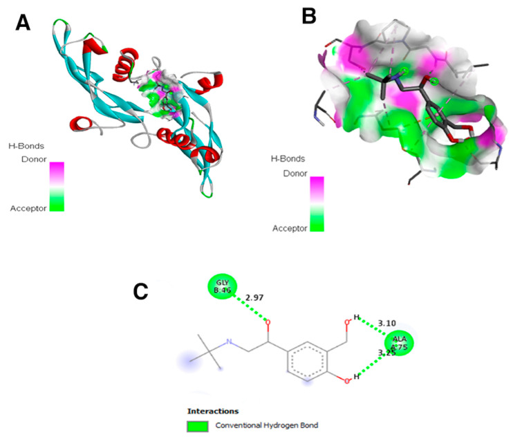 Figure 7
