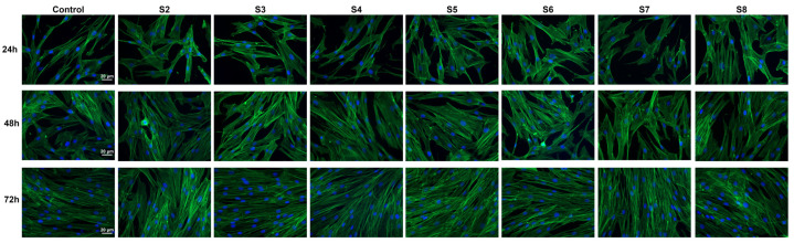 Figure 13