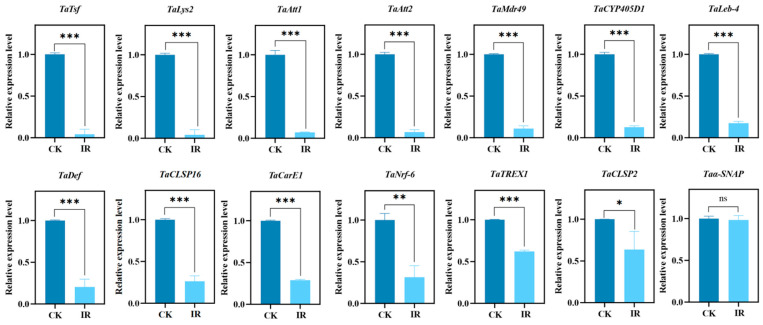 Figure 6