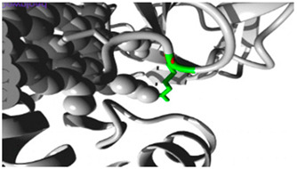 Figure 14