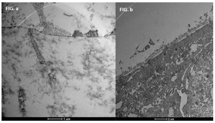 Figure 20