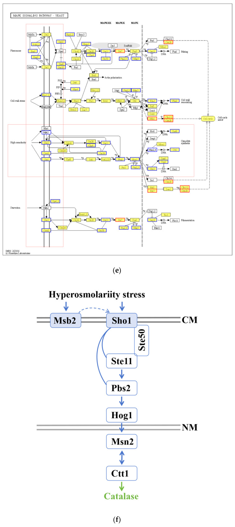 Figure 14