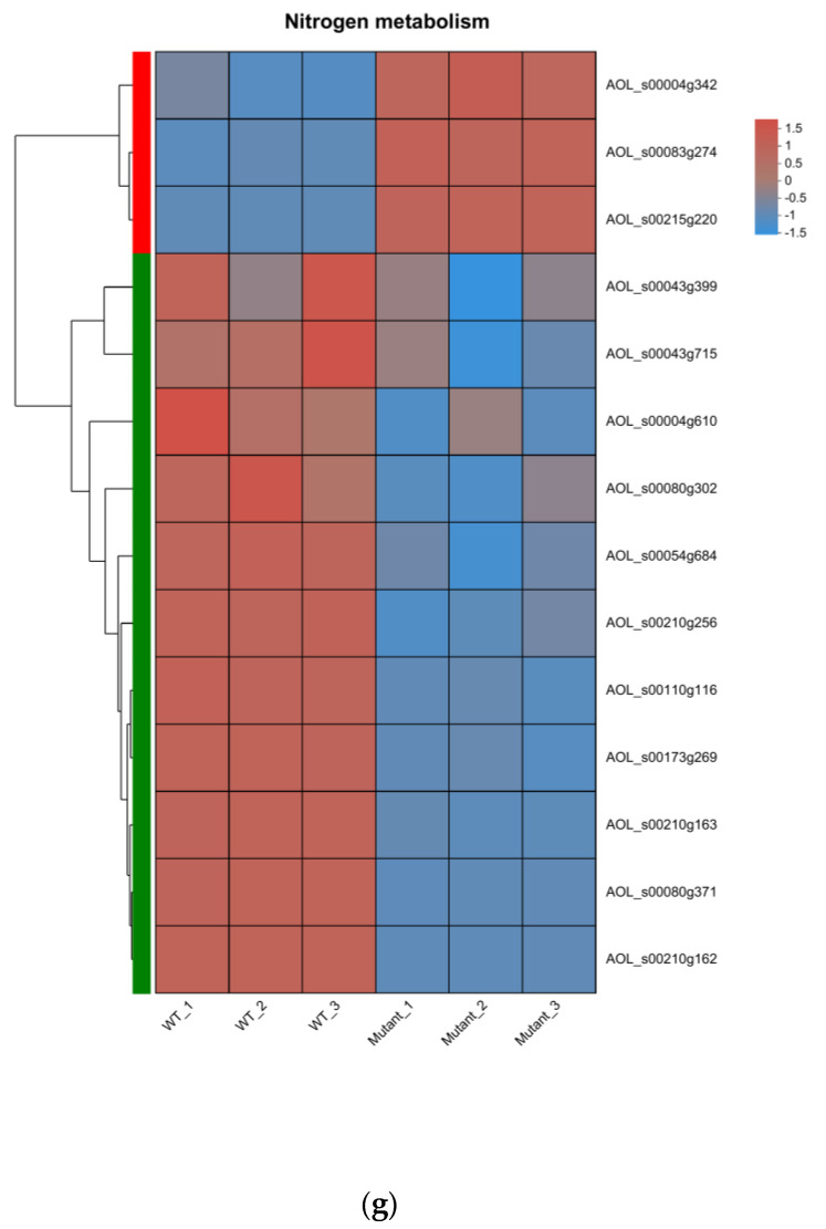 Figure 15