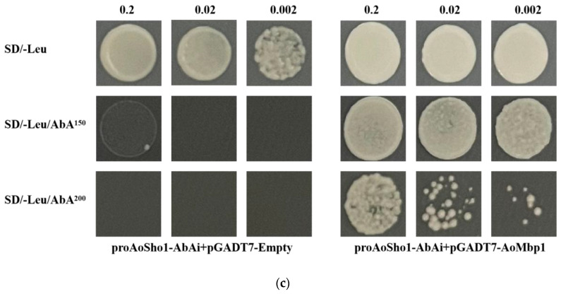 Figure 17