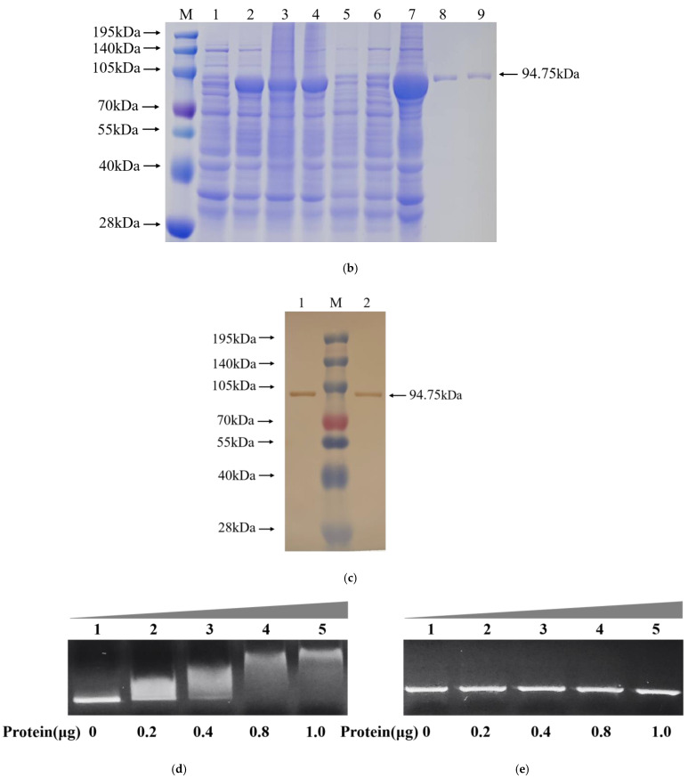 Figure 19