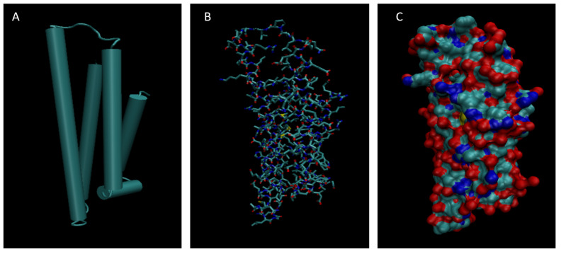 Figure 4