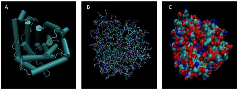Figure 5