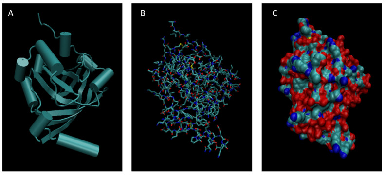 Figure 7