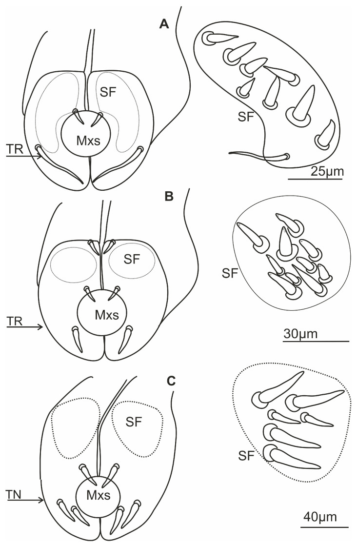 Figure 9