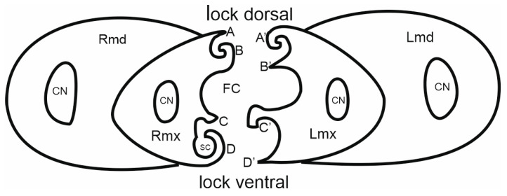 Figure 13