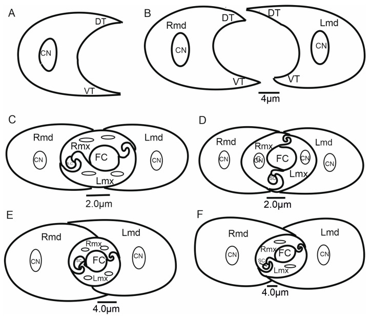 Figure 14