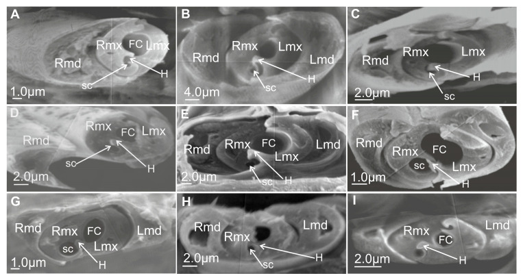 Figure 15