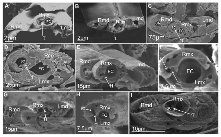Figure 16
