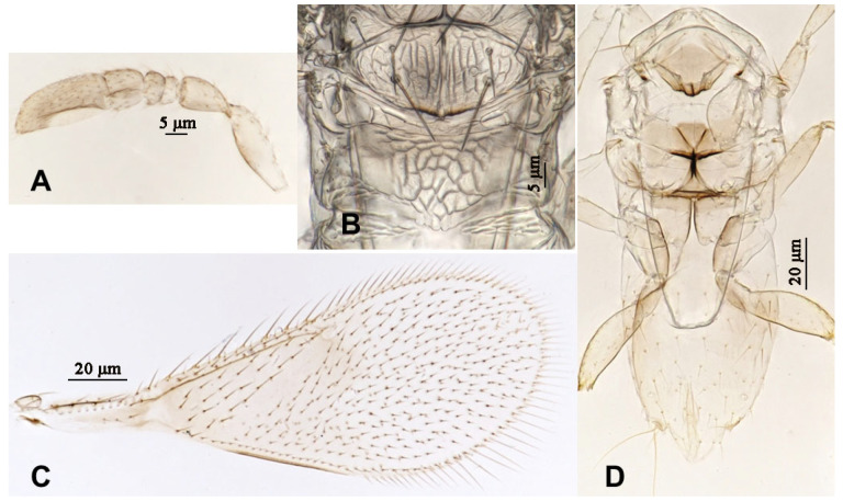 Figure 10