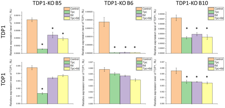 Figure 5