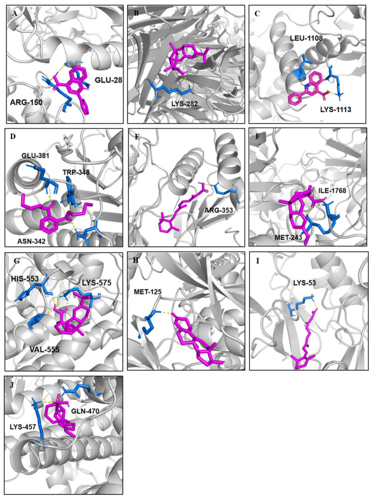 Figure 11