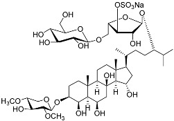 Figure 24