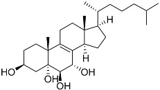 Figure 44