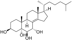 Figure 45