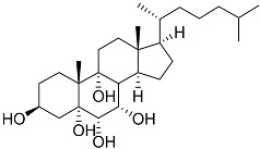 Figure 47