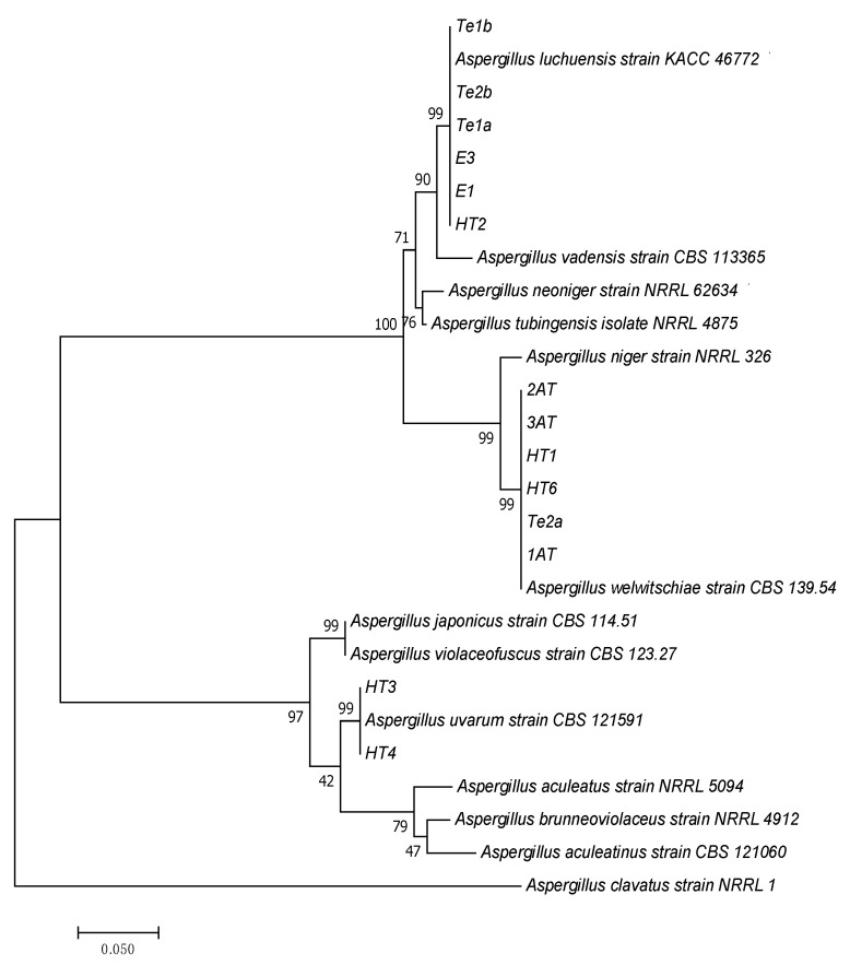 Figure 2