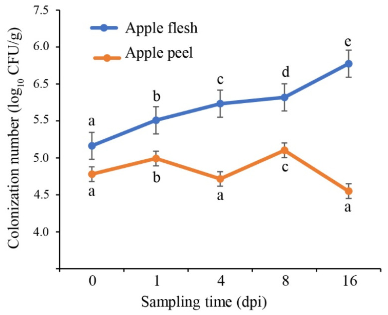Figure 7
