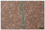 Figure 16