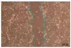 Figure 19