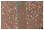Figure 20