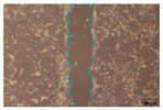 Figure 21