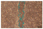 Figure 22