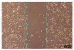 Figure 23