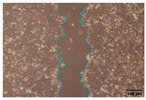 Figure 24
