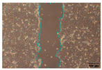 Figure 30