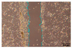 Figure 33