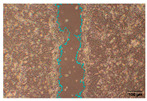 Figure 34