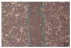 Figure 39