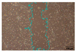 Figure 40